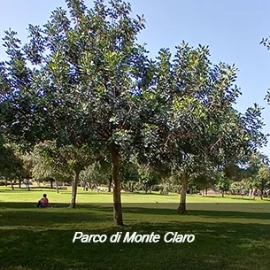 Aree Verdi e Parchi