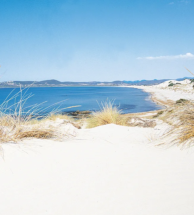 Porto Pino