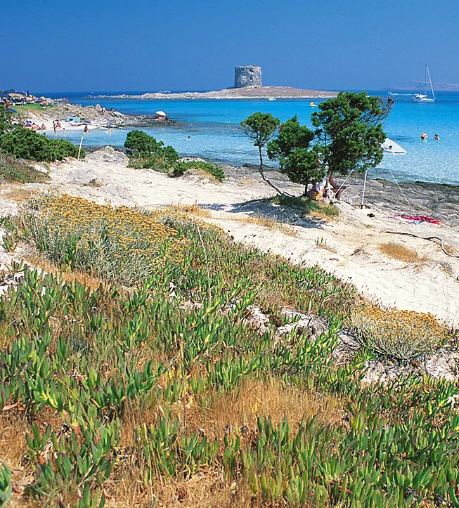 La Pelosa