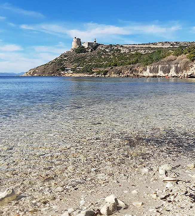 Calamosca