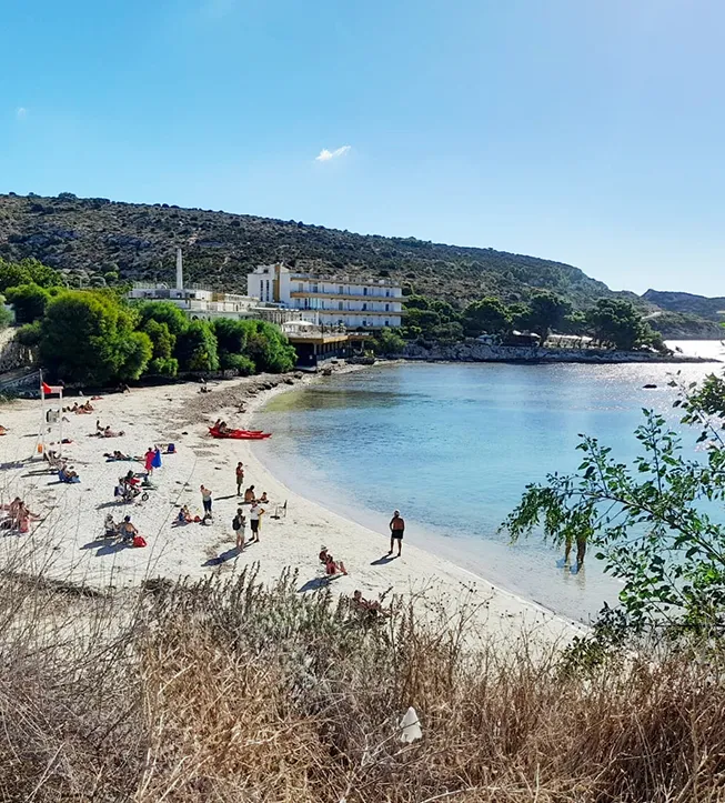 Calamosca