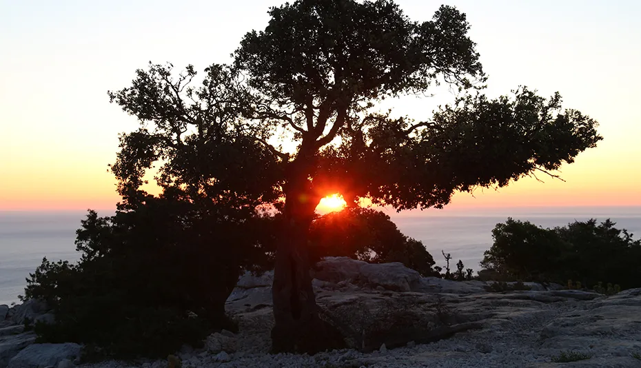 Il Supramonte