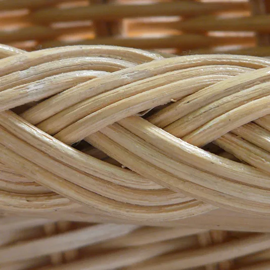 Cestineria