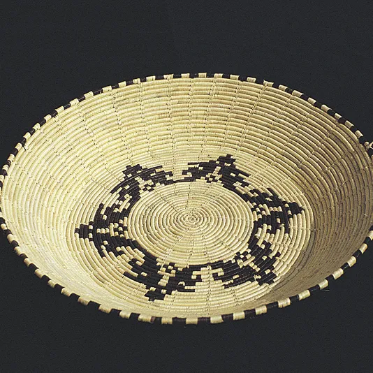 Cestineria