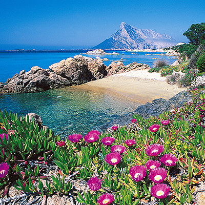 Cala GirgoluxGallery.png