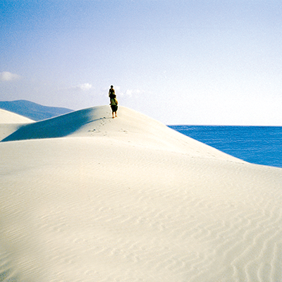 Dune - Chia x Gallery.png