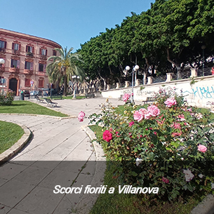 Fiori a Villanova.jpg