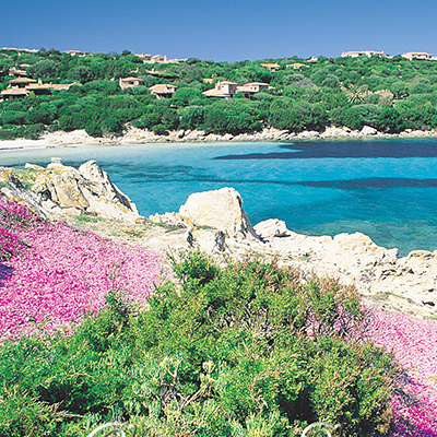 CALA GRANO CSM.png