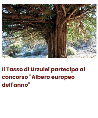 Il Tasso.png