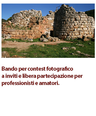 BAndo contest.jpg